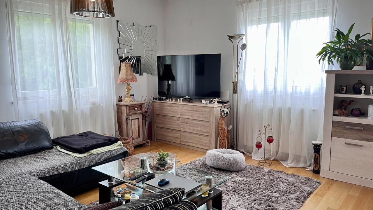 Appartement Peachy House à Rijeka Extérieur photo